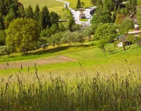 Delovna akcija pri učnem čebelnjaku v Čardi