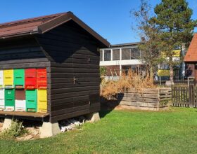 Vabilo na izobraževanje: Zdravljenje čebel