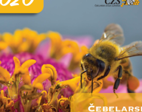 Obvestilo: Koledarji 2021