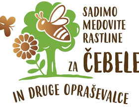 Prevzem medovitih rastlin