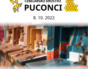 Bilten ob 70. obletnici ČD Puconci