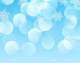 Božično novoletna ekskurzija v Ljubljano 2022